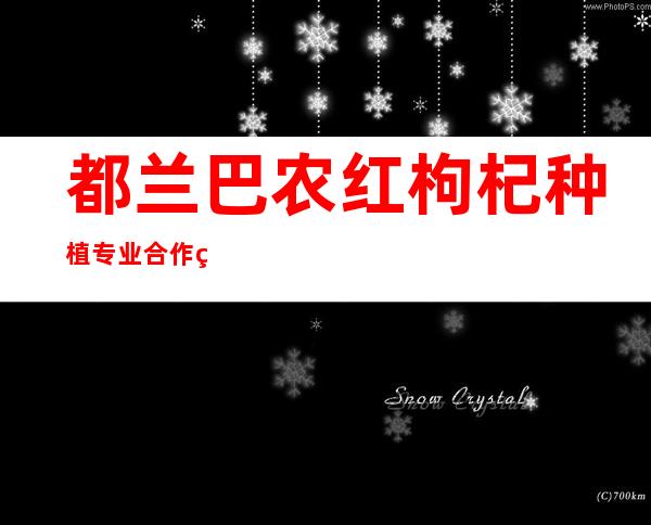 都兰巴农红枸杞种植专业合作社